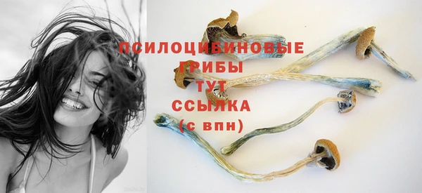 хмурый Приозерск