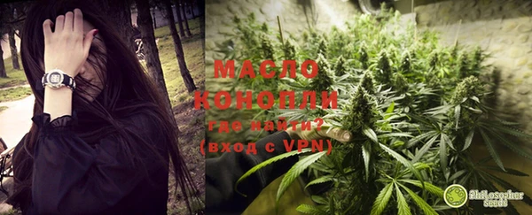 метадон Алексин